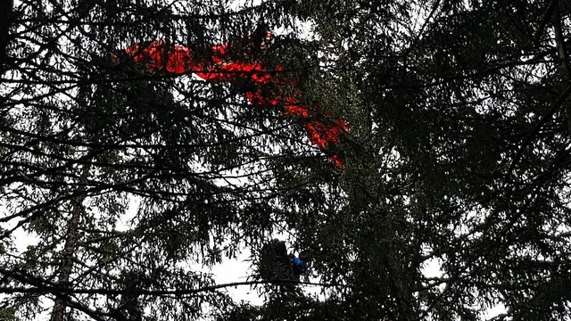 Der Gleitschirm hngt im Baum.  | Foto: kamera24
