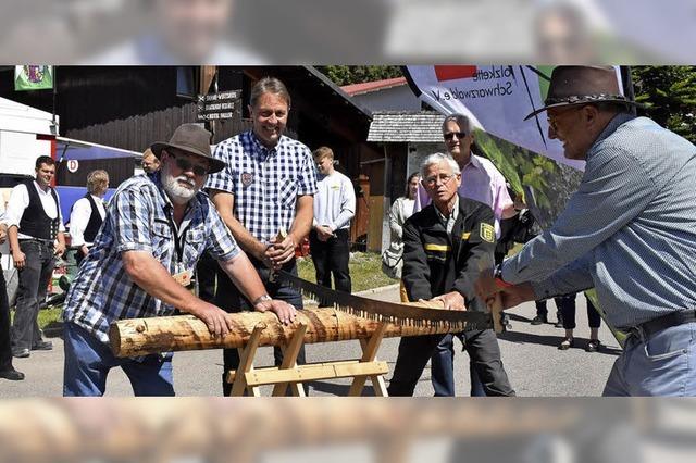 Holz zieht Besucher an