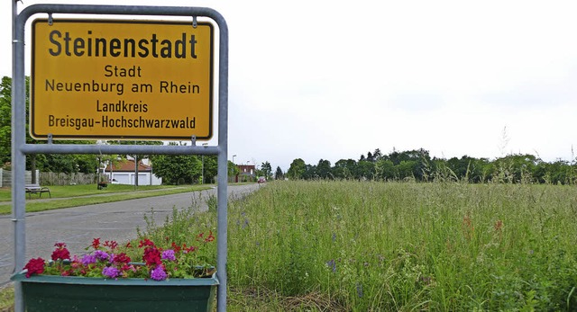 Hier in Steinenstadt soll &#8211; mit ...8211; Wohnbebauung geschaffen werden.   | Foto: Susanne Ehmann