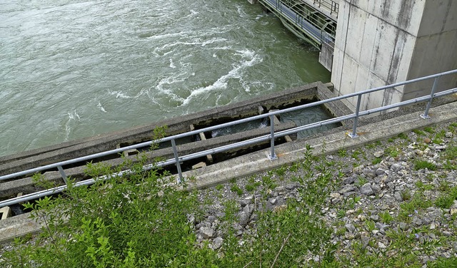 Blick auf die Fischtreppe des Kraftwerks Rheinfelden   | Foto: Saskia Bhrer