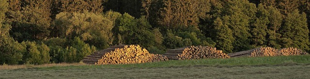 Sturm Burglind hatte Anfang des Jahres... (Bild) und in Brenden 450 Festmeter.   | Foto: Werner Steinhart