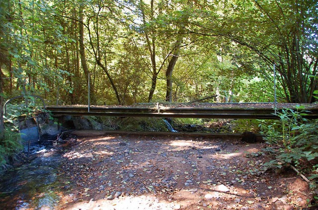 Das Wehr am ehemaligen Mhlkanal soll bedeitigt werden.  | Foto: Wolfgang Beck