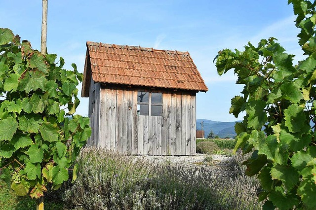 Es darf bleiben, wo es steht: das Rebhuschen.  | Foto: Andrea Gallien