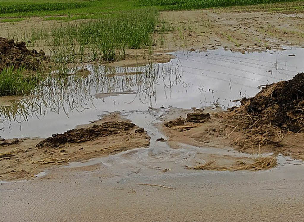 Saubere Gräben sind wichtig Wittlingen Badische Zeitung