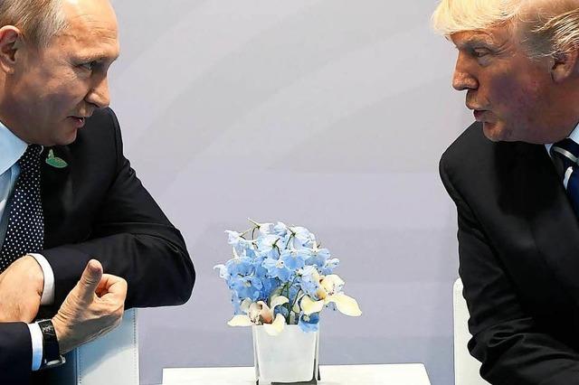 Trump und Putin planen erstes Gipfeltreffen