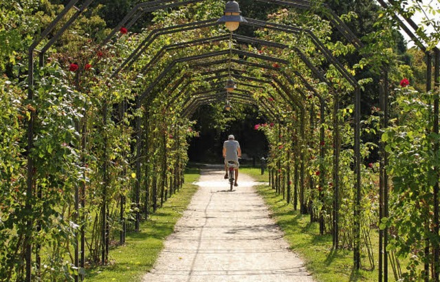 Die  Parks in Lrrach (das Bild  zeigt...n daher von der Bevlkerung geschtzt.  | Foto: Maja Tolsdorf, Lea Schnattinger (2), Barbara Ruda