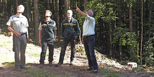 Zu einer Waldbegehung im Dachsberger O...ldbesitzer Friedolt Kaiser (von links)  | Foto: Karin Stckl-Steinebrunner