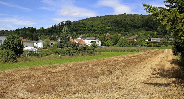 Im Baugebiet Kapellenbach Ost gibt es ...e des Vorentwurfs des Bebauungsplans.   | Foto: Rolf Reimann