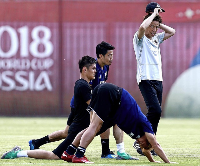 Wie nicht anders zu erwarten: Japans C...ino (rechts) gilt als groe Autoritt.  | Foto: afp