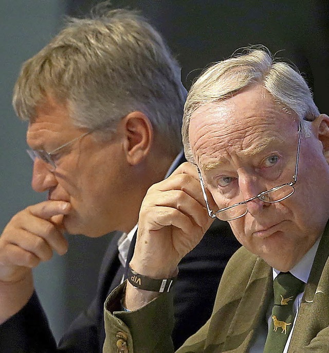 Die AfD-Vorsitzenden Jrg Meuthen (links) und Alexander Gauland in Augsburg   | Foto: dpa