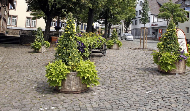 Zwei neue Autostellpltze kommen hier auf den Klosterplatz zur Strae hin.  | Foto: Heidi Fssel