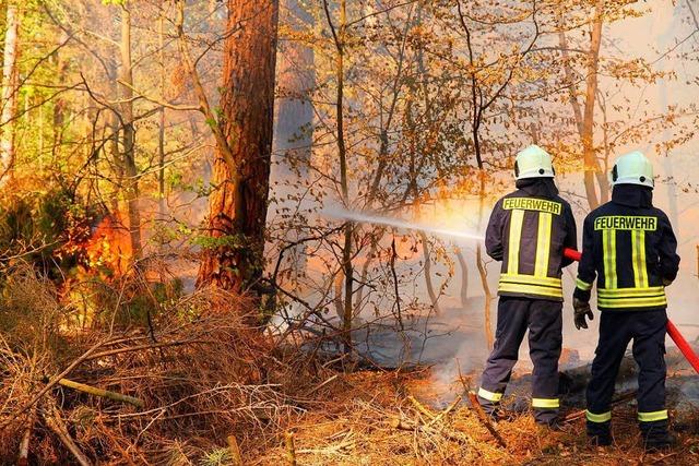 Die Waldbrandgefahr in der Rheinebene ist hoch, warnt das Landratsamt