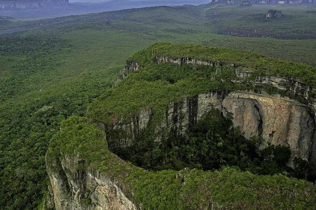 Größter Tropenwald-Nationalpark der Welt geschaffen