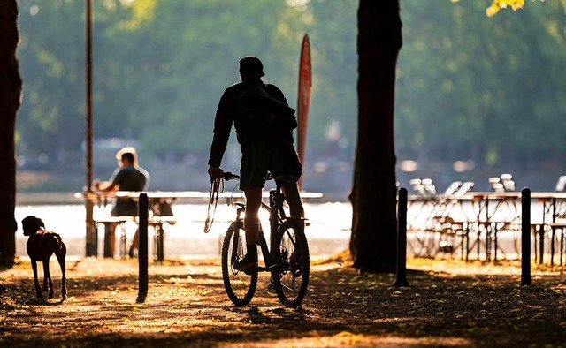 So eintrchtig kamen Radfahrer und Hun... nicht aneinander vorbei. (Symbolfoto)  | Foto: dpa