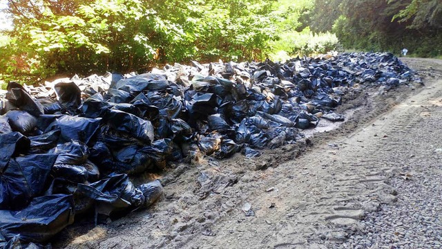 Hunderte Plastikscke entdeckte ein Le.... Einige Scke waren jedoch zerfetzt.   | Foto: Privat