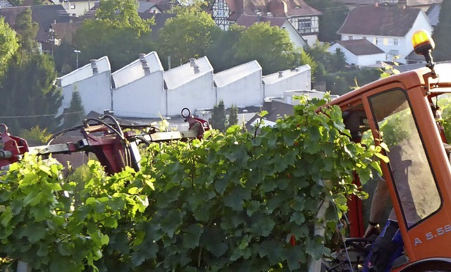 Nach der Zeugnisbergabe am Freitag, d...bach (hier vom Abtsberg aus gesehen).   | Foto: Archivfoto: Helmut Seller