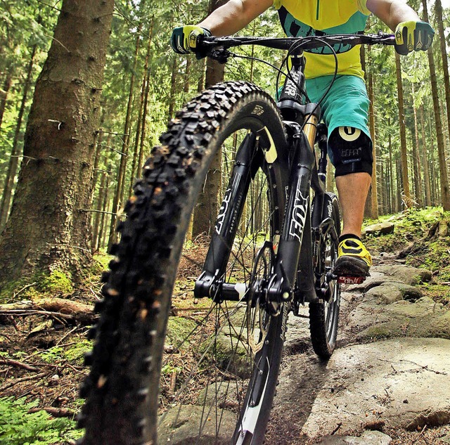 Mountainbiker abseits der Waldwege. Ja...allburg gefllt dieser Gedanke nicht.   | Foto: Dpa