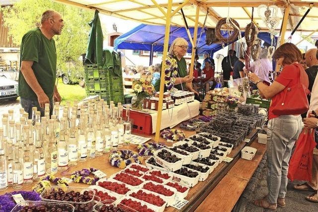 Naturparkmarkt in Tegernau