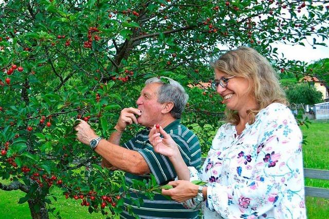 Vera Noy hat sich um die Kirschsorte Gresger Ammele verdient gemacht