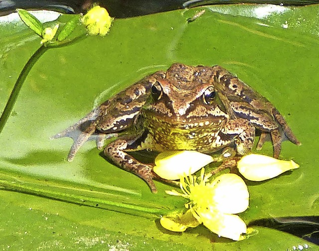   | Foto: Heidrun Brichta