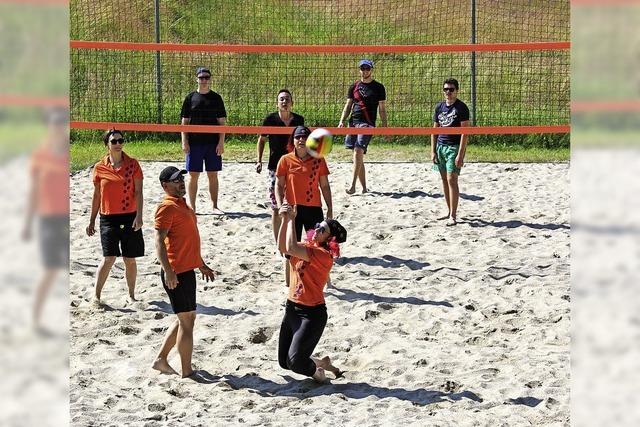 Voll Einsatz am Volleyballnetz