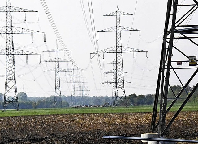 Stromleitungen bei Eichstetten   | Foto: Jonas Hirt