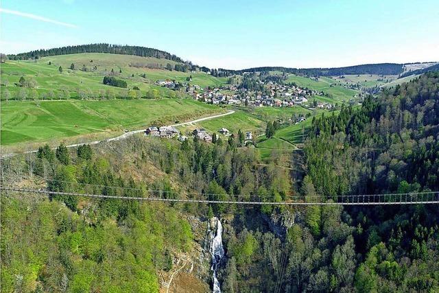 Bekommt Todtnau eine Hngebrcke?