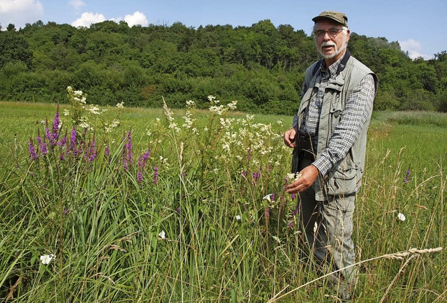 Naturschtzer Reinhold Grub  zwischen ...derich und Mdes im Nimburger Ried.   | Foto:  hab