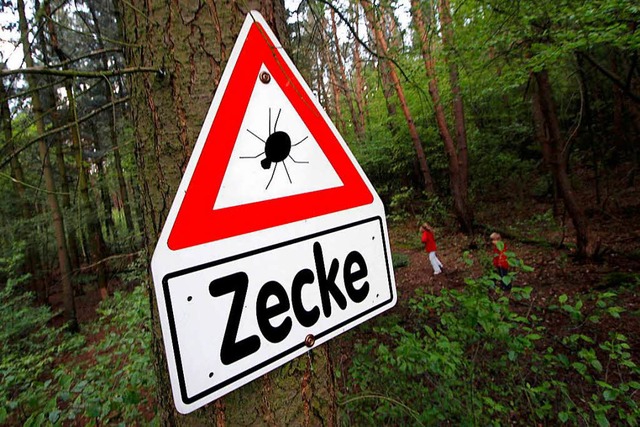 Vorsicht, Zecke: Im Wald, auf Wiesen o...s Infektionsrisiko fr den FSME-Virus.  | Foto: dpa