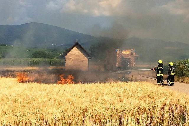 Neuenburger Feuerwehr lscht brennendes Getreidefeld
