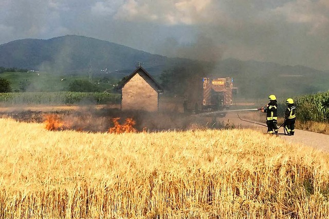Die Neuenburger Feuerwehr konnte das brennende Getreidefeld rasch lschen.  | Foto: Feuerwehr Neuenburg am Rhein