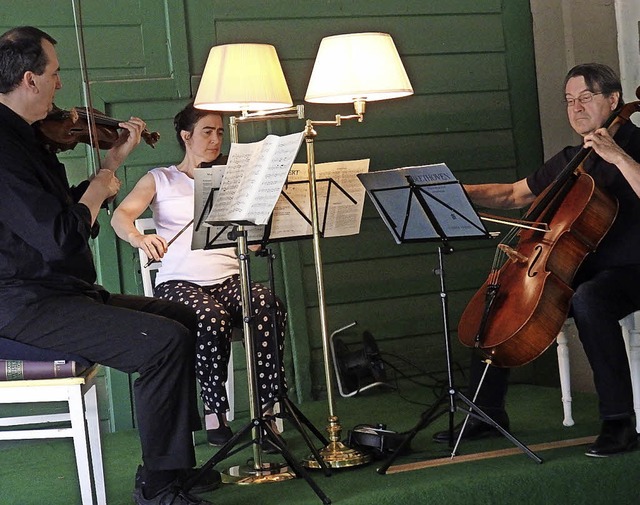 Es musizierten Christian Ostertag (Vio...la) und Martin Ostertag (Violoncello).  | Foto: Bianca Flier