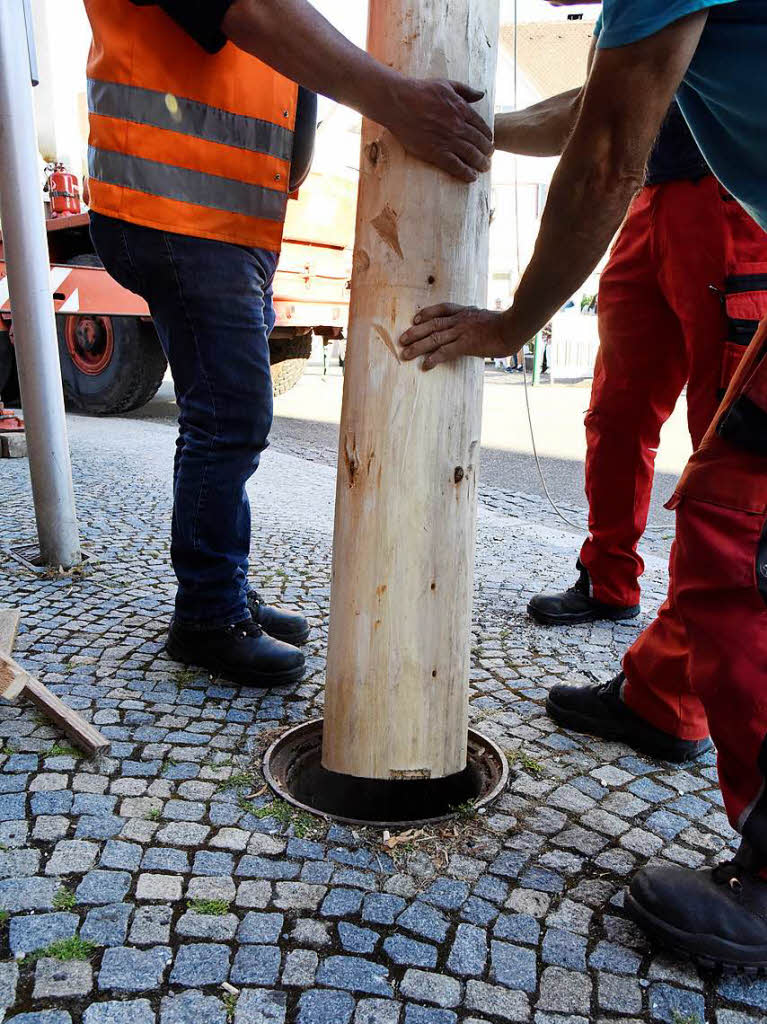 Die Feuerwehr stellt die Brgermeistertanne