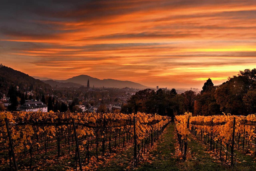 Sonnenuntergang von der Eichhalde  | Foto: Claudius Merz