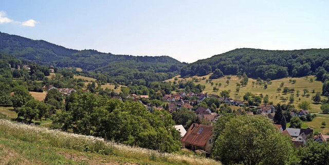 Das Ende des digitalen Notstands rckt...rtsteil Lipburg-Sehringen immer nher.  | Foto: Silke Hartenstein