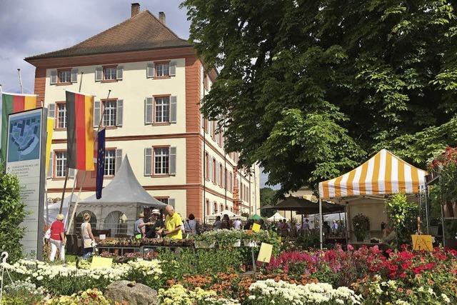 Gartenmesse DiGA von 13.-.15. Juli 2018 im Schloss Beuggen, Ticketverlosung