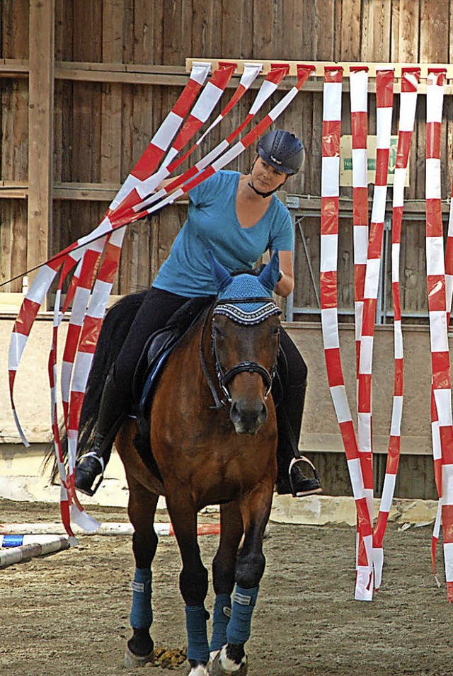 Nicht jedes Pferd reagiert bei Flatterbndern so cool.   | Foto: Wunderle