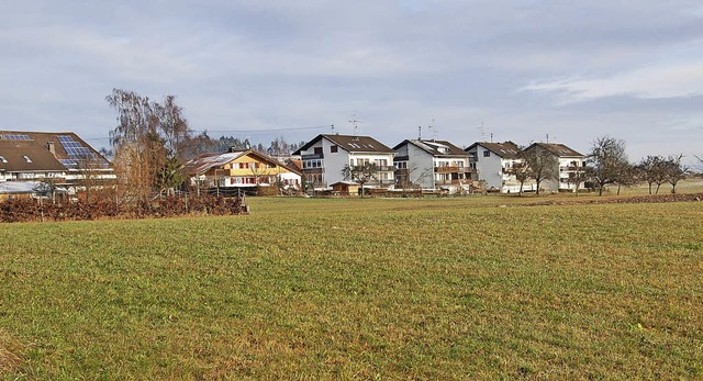 Auf dieser Wiese knnen bald Einfamili...nunmehr die Baulandpreise festgelegt.   | Foto: Werner Steinhart