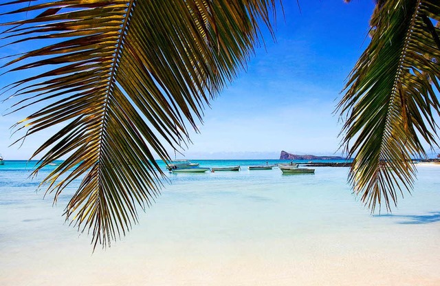 Paradiesisch: Mauritius ist vor allem ...nde und das Blau des Meeres bekannt.   | Foto: S. Mayer (2), Bamba/Mauritius Tourism (2)/(dpa-tmn)