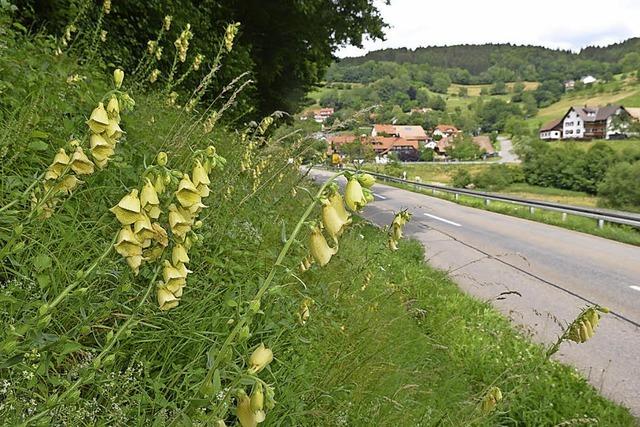 Eine Heimat fr den Wald-Geibart