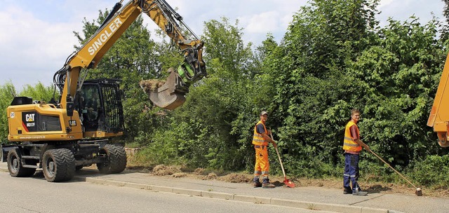 Das sogenannte Straenbegleitgrn in Ettenheim wird naturnah umgestaltet.   | Foto: Stadt