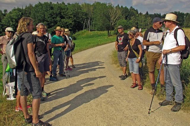 Grnbrcke reicht allein nicht aus