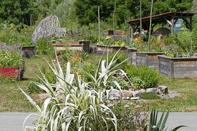 Natur und Infrastruktur wachsen noch