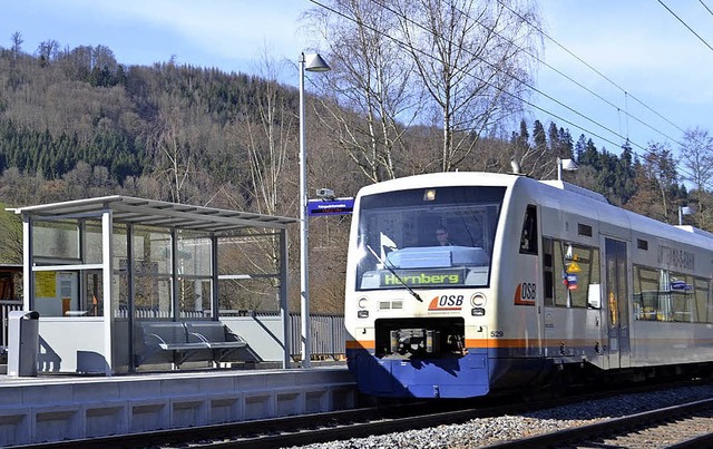 Lngst nicht alle Gleiskilometer im Ortenaukreis sind elektrifiziert.   | Foto: museum