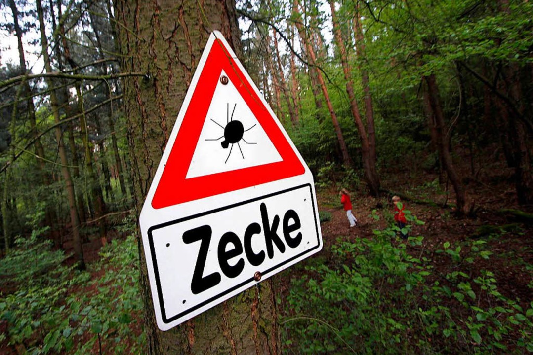 Blutsauger-Alarm: Doppelt so viele Zecken wie im vergangenen Jahr ...