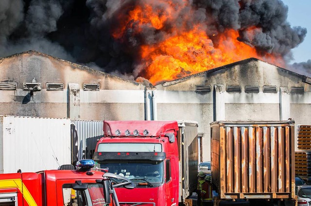 Einsatzkrfte der Feuerwehr versuchen ...biet im Stadtteil Aldingen zu lschen.  | Foto: dpa