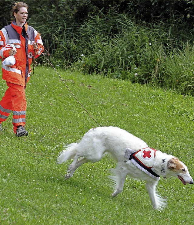 Windhndin Bijata ist Super-Rettungsh...satz mit Hundefhrerin Irmgard Peruzzi  | Foto: DRK Kreisverband Sckingen