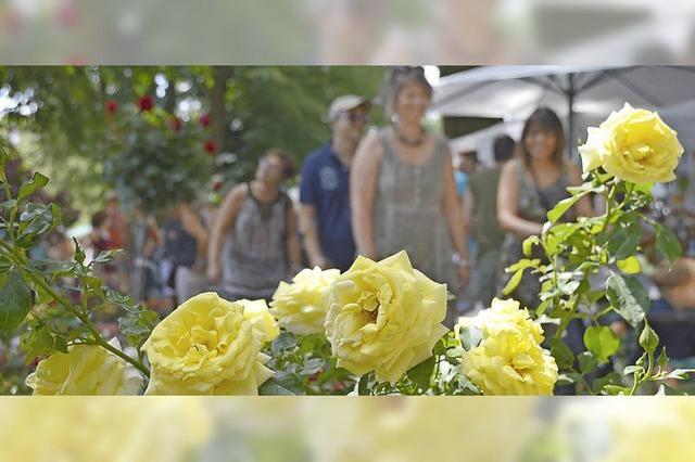 12 000 Gartenfreunde pilgern zur Diga