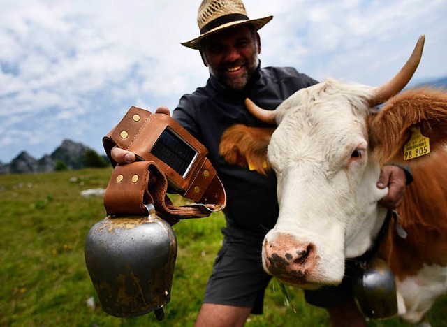 Matthias Engel mit Kuh Schlecki  | Foto: dpa