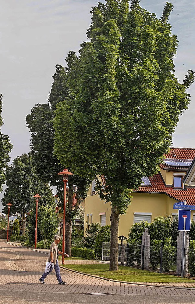 Die Carl-Hermann-Jger-Strae wird noc...oll durch Stadtbirne ersetzt werden.    | Foto: Sandra Decoux-Kone